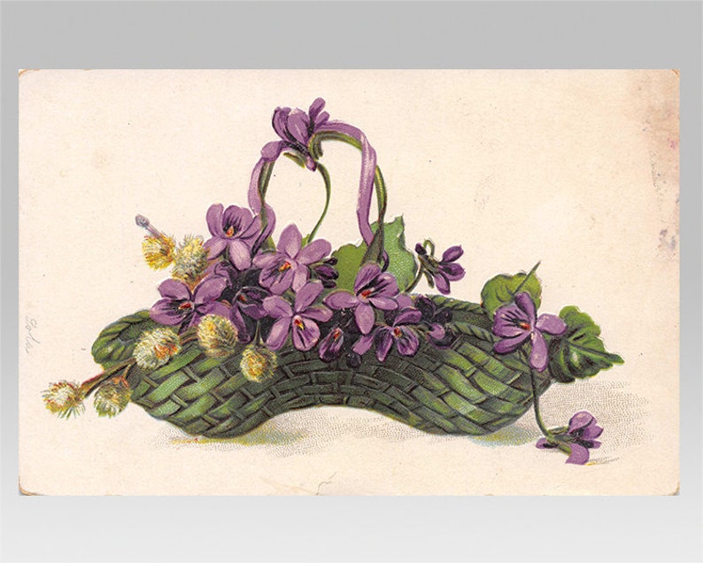 Purple flowers in green basket antique postcard 1900s vintage decor ideas Victorian botanical decor spring decor Edwardian art