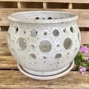 May include: A speckled, light gray ceramic planter with numerous circular holes. The planter sits on a matching saucer. The design includes a speckled pattern. A few sprigs of purple flowers are next to the planter.