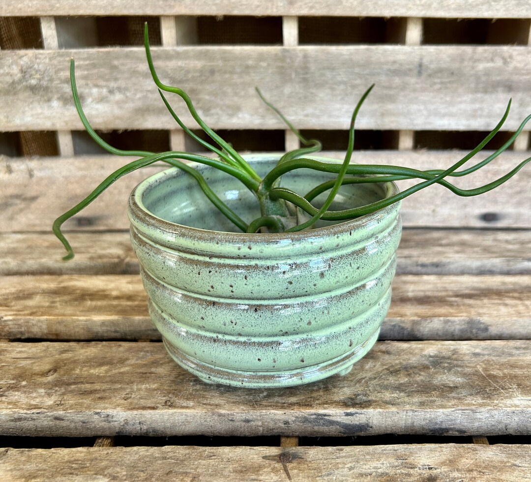 Stoneware Sage Green Succulent Pot Handmade Wheel Thrown Planter With ...