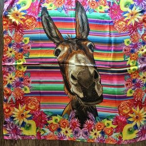 Wild Rags 100% Seide Fiesta Serape Esel Burro Cowboy Western Halstuch Bandana von Double B Wild Rags