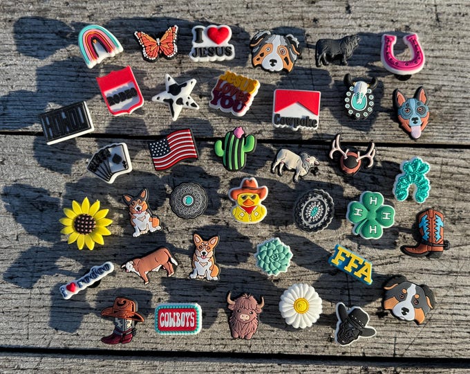 Western Cowboy Cowgirl Rodeo Shoe Clog Charms Turquoise Bulls Bronc sunflower Cactus
