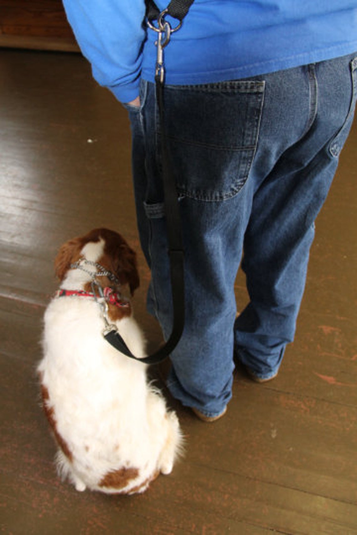 Cross Body Hands Free Leash Adjustable Southwest Etsy