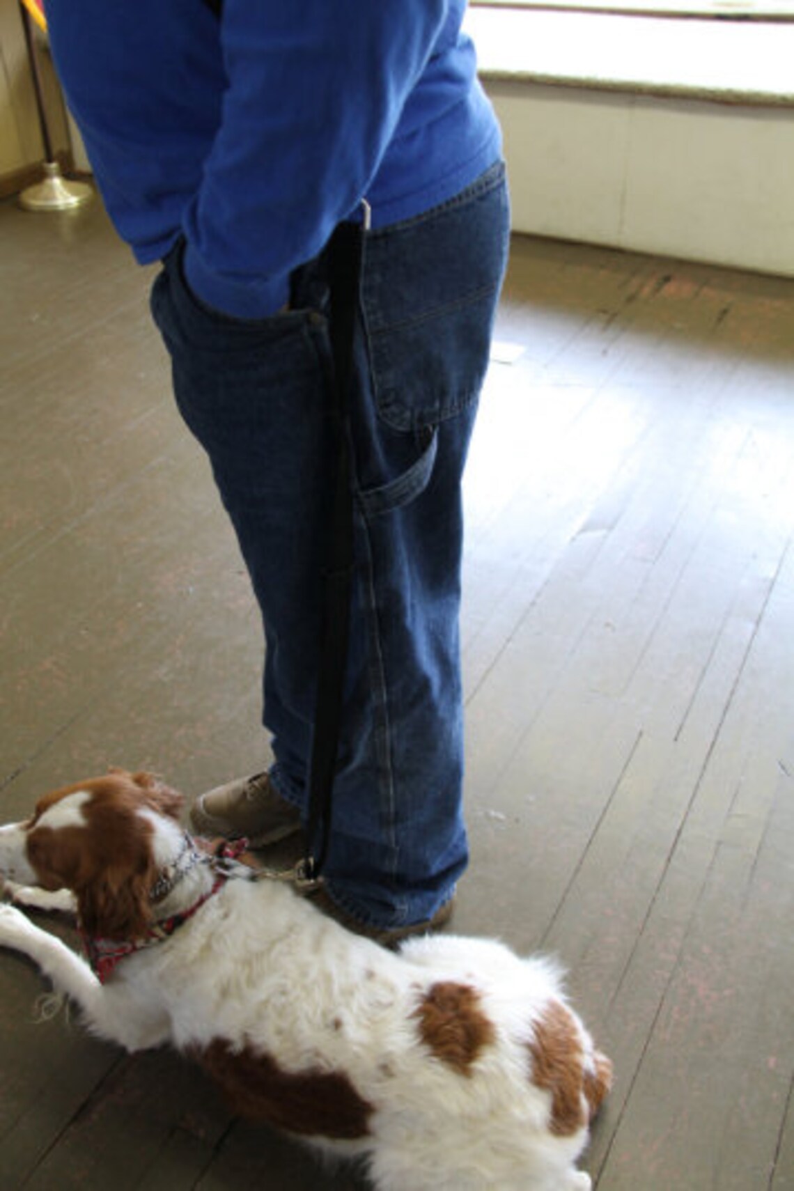 Cross Body Hands Free Leash Adjustable Southwest Etsy