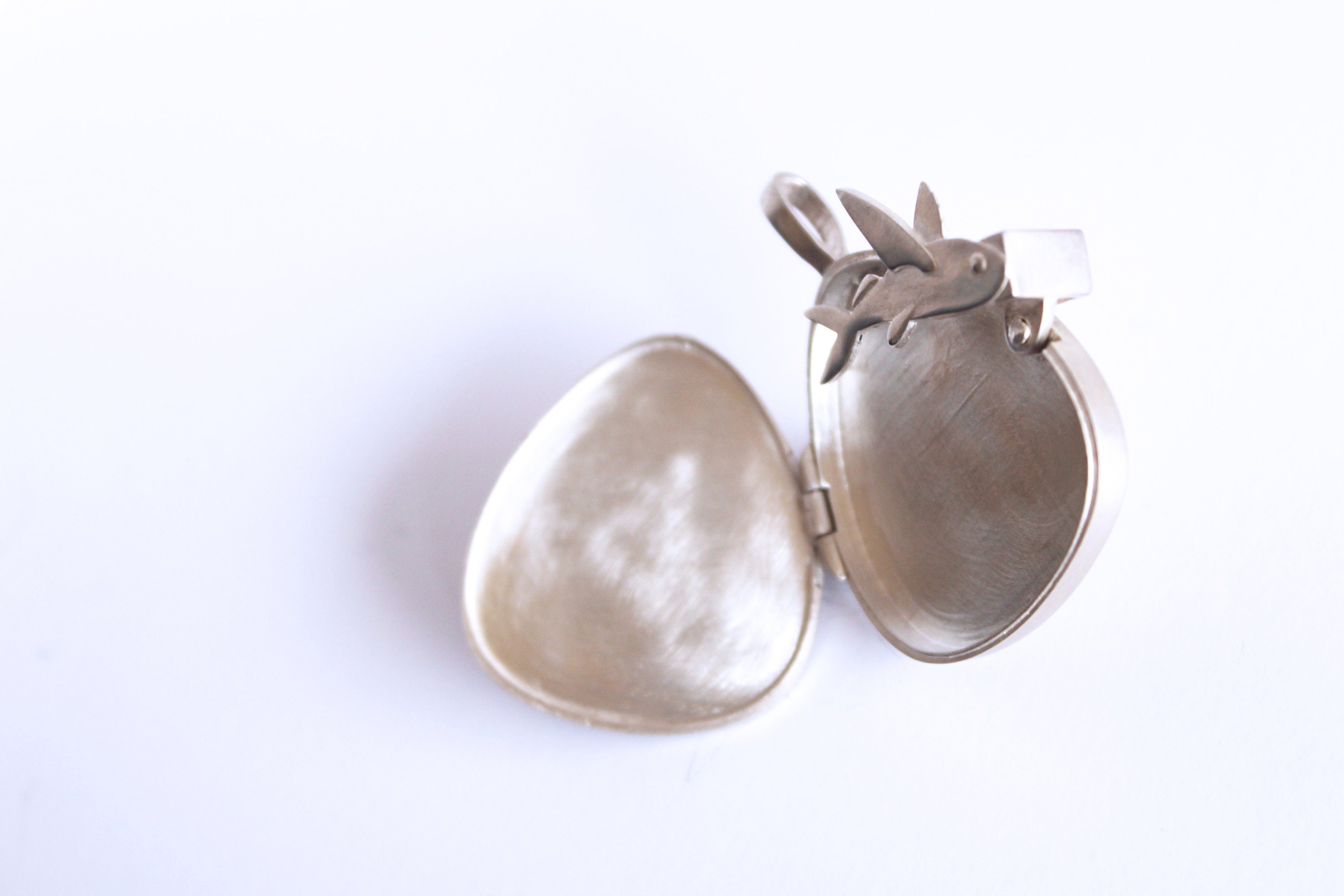 Flying fish guitar pick locket Etsy 日本