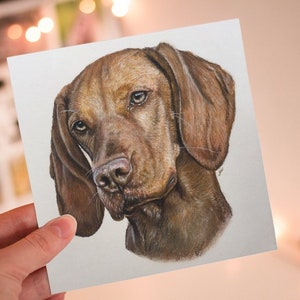 Amber - Carte de vœux Hongroise Vizsla // Vizsla Art // Vizsla Gift // Vizsla // Vizsla Artist
