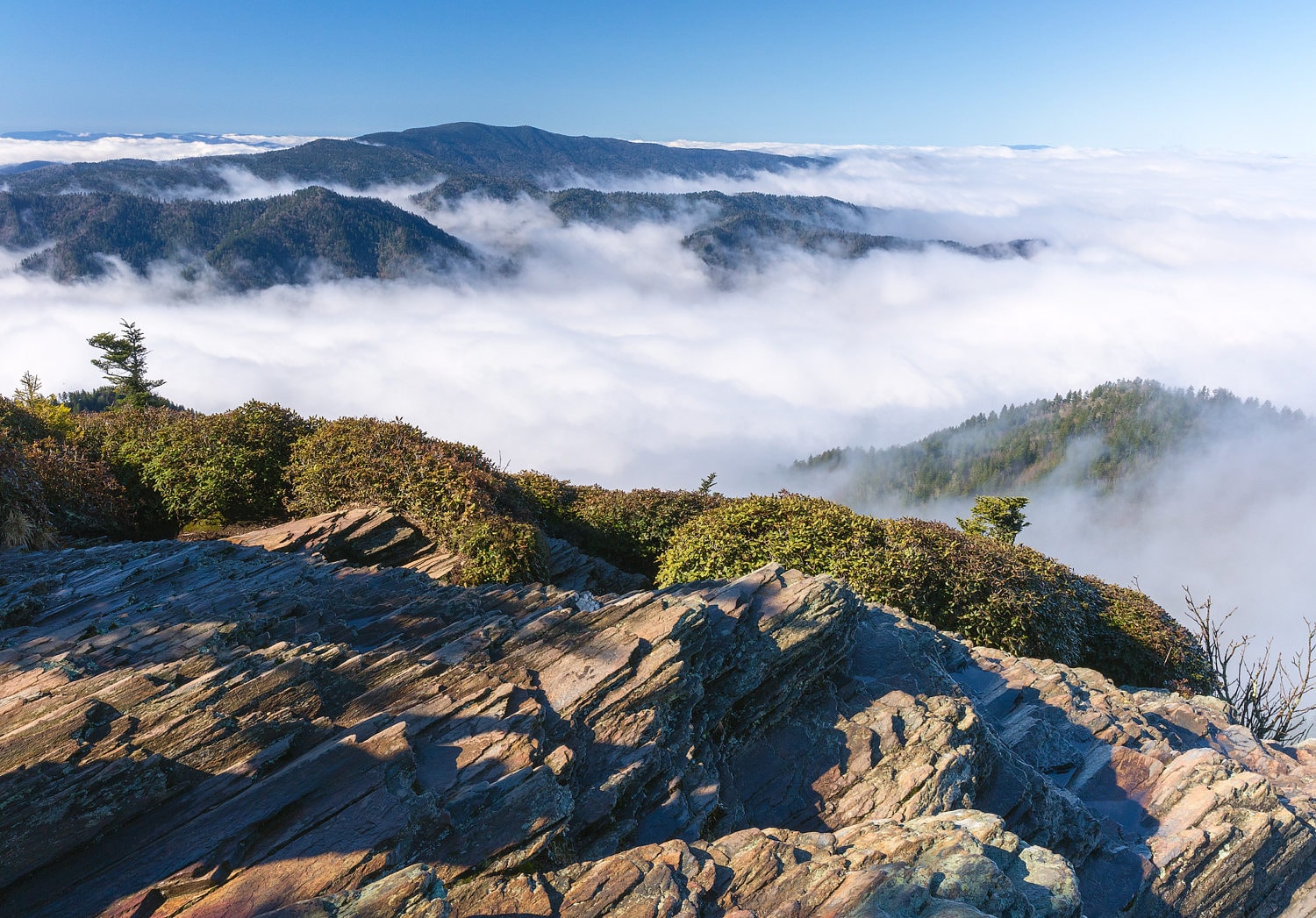 Early Spring Morning at Cliff Tops