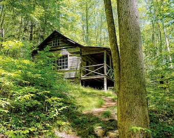 Avent Cabin in Spring