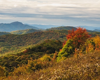 Autumn Morning on Max Patch