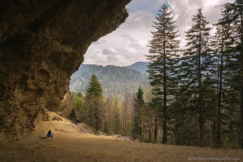 Puede incluir: Una persona se sienta en la boca de una cueva con vistas a un exuberante bosque verde con altos &aacute;rboles de hoja perenne en primer plano.