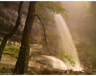 Può includere: Una cascata nebbiosa scende da una scogliera rocciosa, con una lussureggiante vegetazione verde e due tronchi d'albero in primo piano.