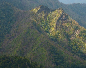 Può includere: Una vista panoramica di una lussureggiante catena montuosa verde con un cielo nuvoloso. Le montagne sono ricoperte di alberi e hanno un terreno accidentato e roccioso.