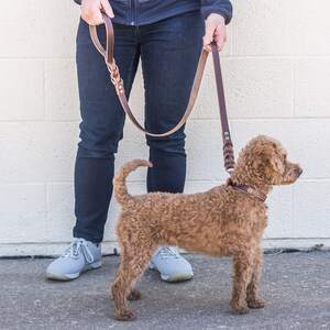 Custom Amish-Made Leather Dog Leash - 6 Foot, No Collar Needed, Handcrafted