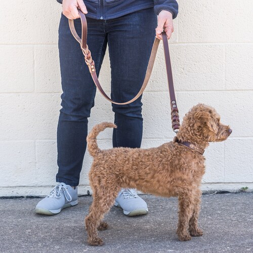 Custom dog leashes discount