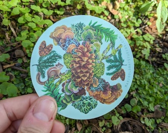 Forest Pinecone Sticker, 3" circle vinyl decal, Waterproof & Dishwasher safe, Colorful botanical art, Chipmunk, Ferns, Mushrooms, Lichen