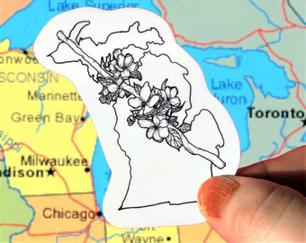 Naklejka z kwiatem jabłoni w Michigan | 3-calowa winylowa naklejka z kwiatem stanowym | Ręcznie rysowana sztuka botaniczna