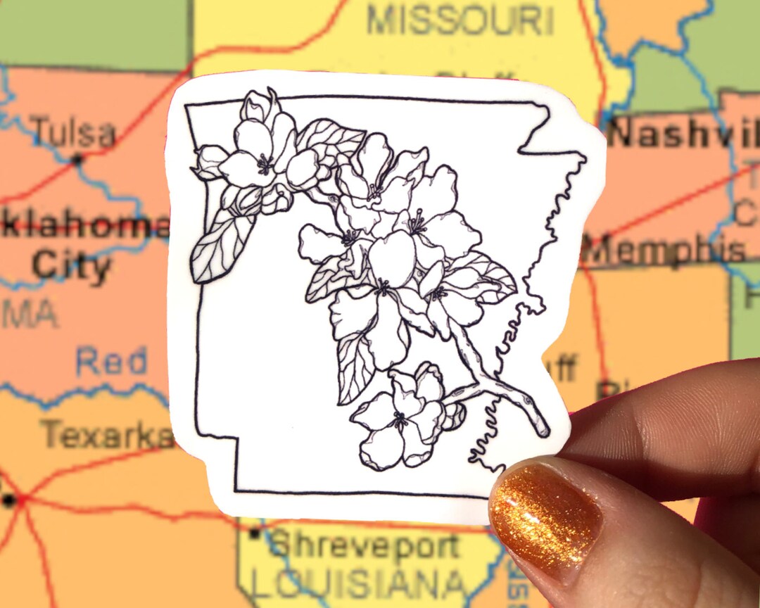 Arkansas Apple Blossom Sticker | 3 Inch Vinyl State Flower Decal | Hand ...