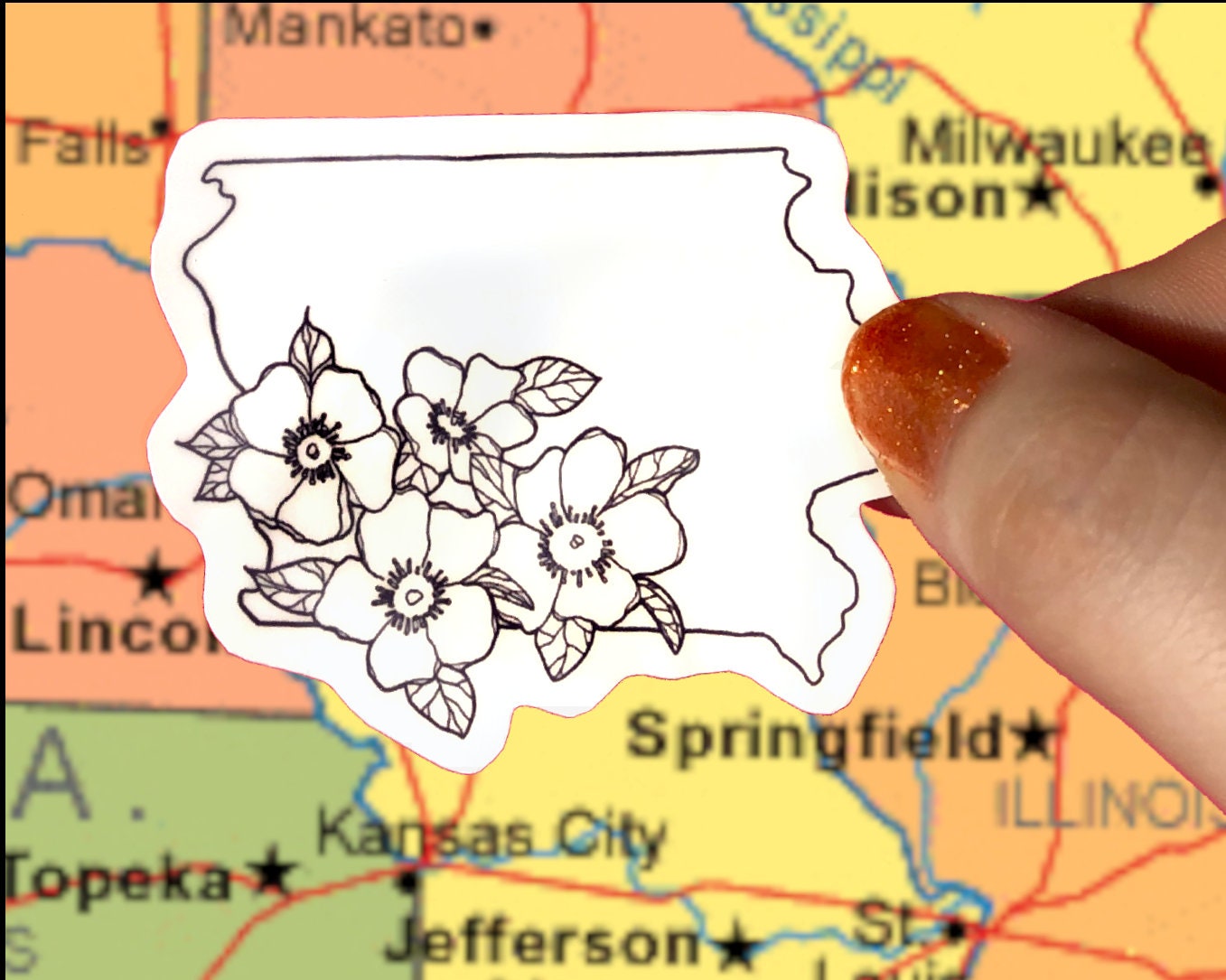 Iowa Wild Prairie Rose Sticker | 3 Inch Vinyl State Flower Decal | Hand ...