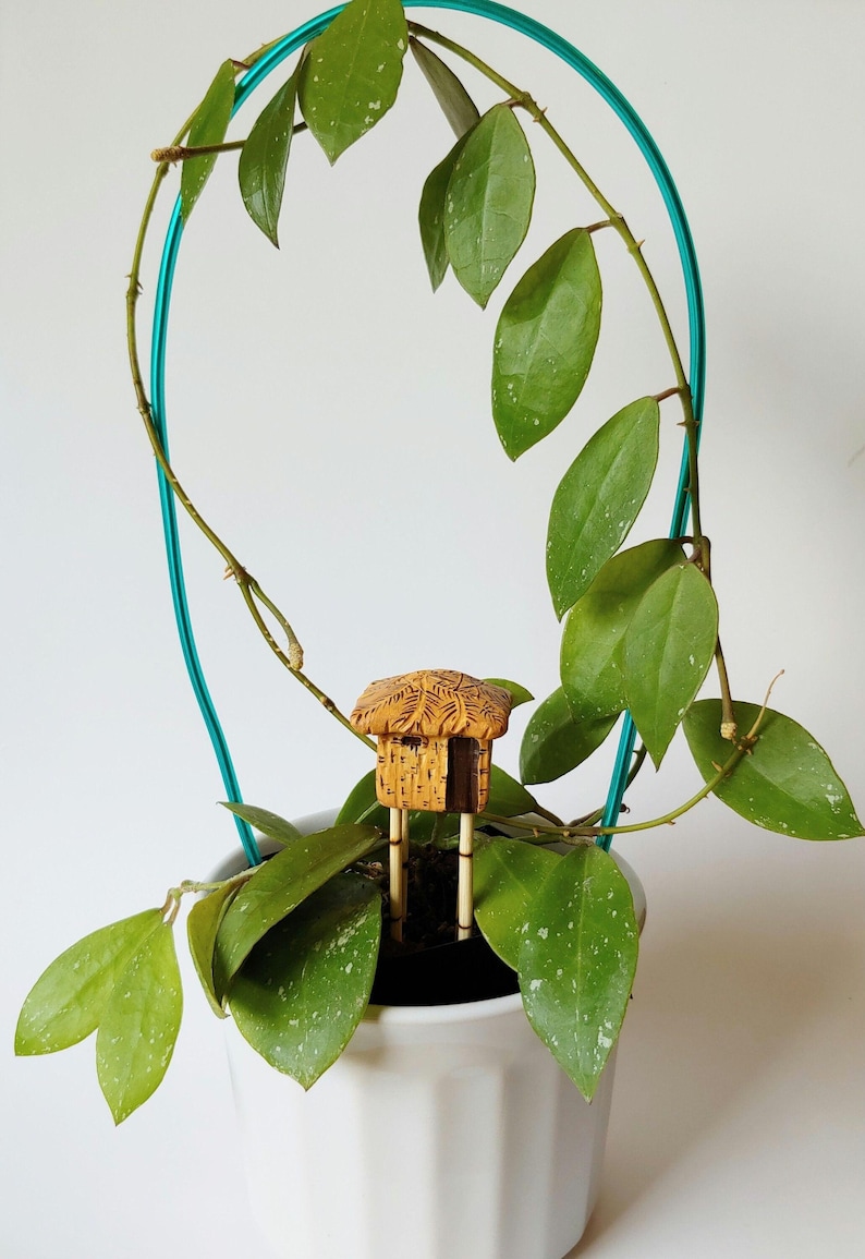 Planter Poke featured in photo is in a 4” (approx.) pot. Please be mindful of the 1” (approx.) cube size of the planter poke when purchasing.
