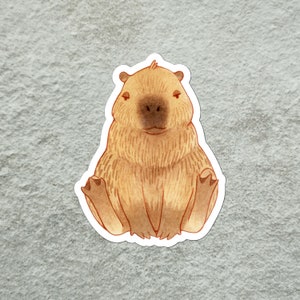 Capybara Aufkleber, unbeeindruckter Capybara Aufkleber, niedlicher Tieraufkleber, Nagetier-Liebhaber-Aufkleber, seltsamer Aufkleber, Original-Aufkleber
