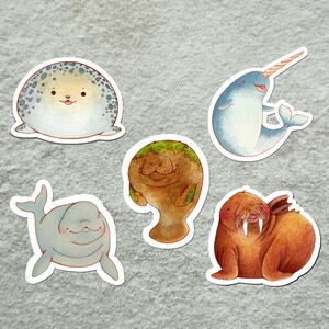 Marine Life Stickerpack, Ocean Stickerpack, Cute animal Stickerpack, Aquarium Lover Stickerpack, Ocean Friends Stickerpack, Cute Stickerpack