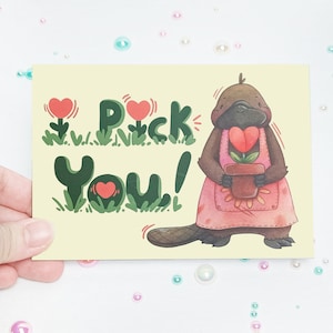 Platypus Valentines Card Multi-pack, Floral, Tarjeta de San Valentín divertida, tarjeta romántica extraña, tarjeta de aniversario, tarjeta de amor, San Valentín ilustrado
