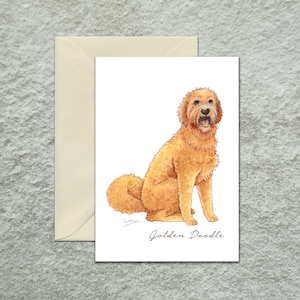 Multi-pack de cartes de voeux Golden Doodle, carte de voeux pour chien, carte de voeux vierge, illustration aquarelle originale pour les amoureux des chiens