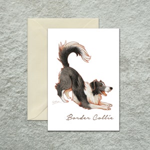 Biglietto d'auguri Border Collie Confezione multipla, Biglietto d'auguri per cani, Biglietto d'auguri vuoto, Illustrazione originale ad acquerello per gli amanti dei cani