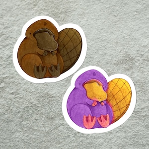 Platypus Sticker, Purple Platypus Sticker, Baby Platypus Sticker, Cute Platypus Sticker, Platypi, Platypus Lover Sticker, Cute Sticker