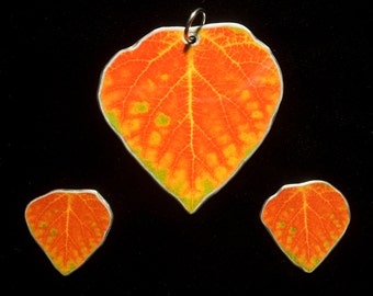 Conjunto de brincos e pingentes de folha de Aspen verdes, vermelhos e amarelos 1