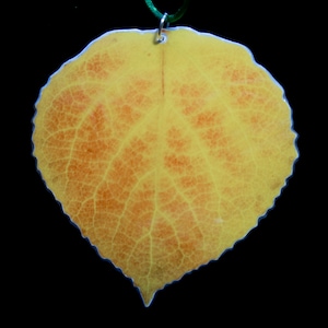 4&quot; Orange, rot, & gelb Aspen Blatt Ornament 2