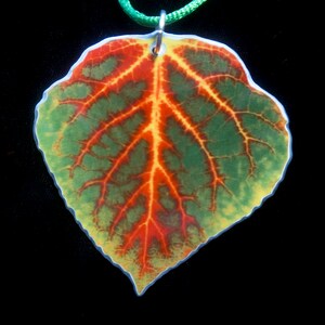2,5&quot; grün, rot, & gelb Aspen Blatt Ornament 16