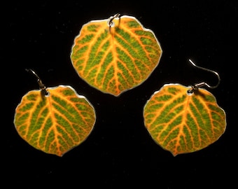 Conjunto de brincos e pingente de folha de Aspen verde, laranja e amarelo 1