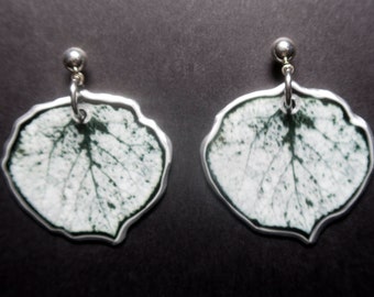 Aspen Leaf Skeleton Dangle Post Earrings 1