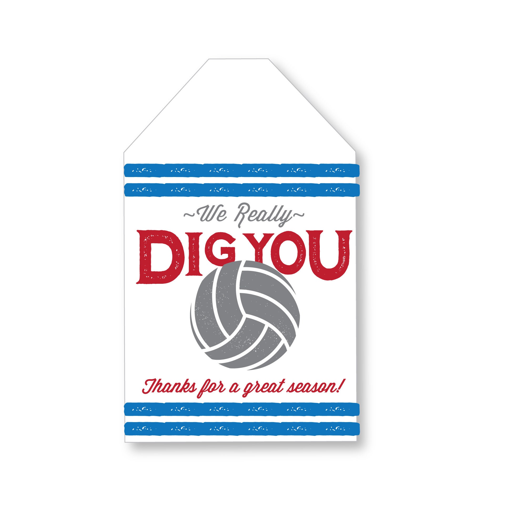 We Dig You Volleyball Gift Tags Great End of the Season Etsy