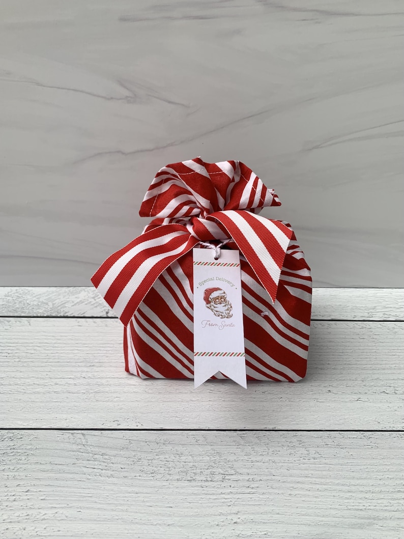 May include: A fabric gift bag featuring a red and white diagonal candy cane stripe pattern, tied at the top with a matching fabric bow. A rectangular white gift tag hangs from the bow, displaying a Santa Claus illustration and the text Special Delivery From Santa.