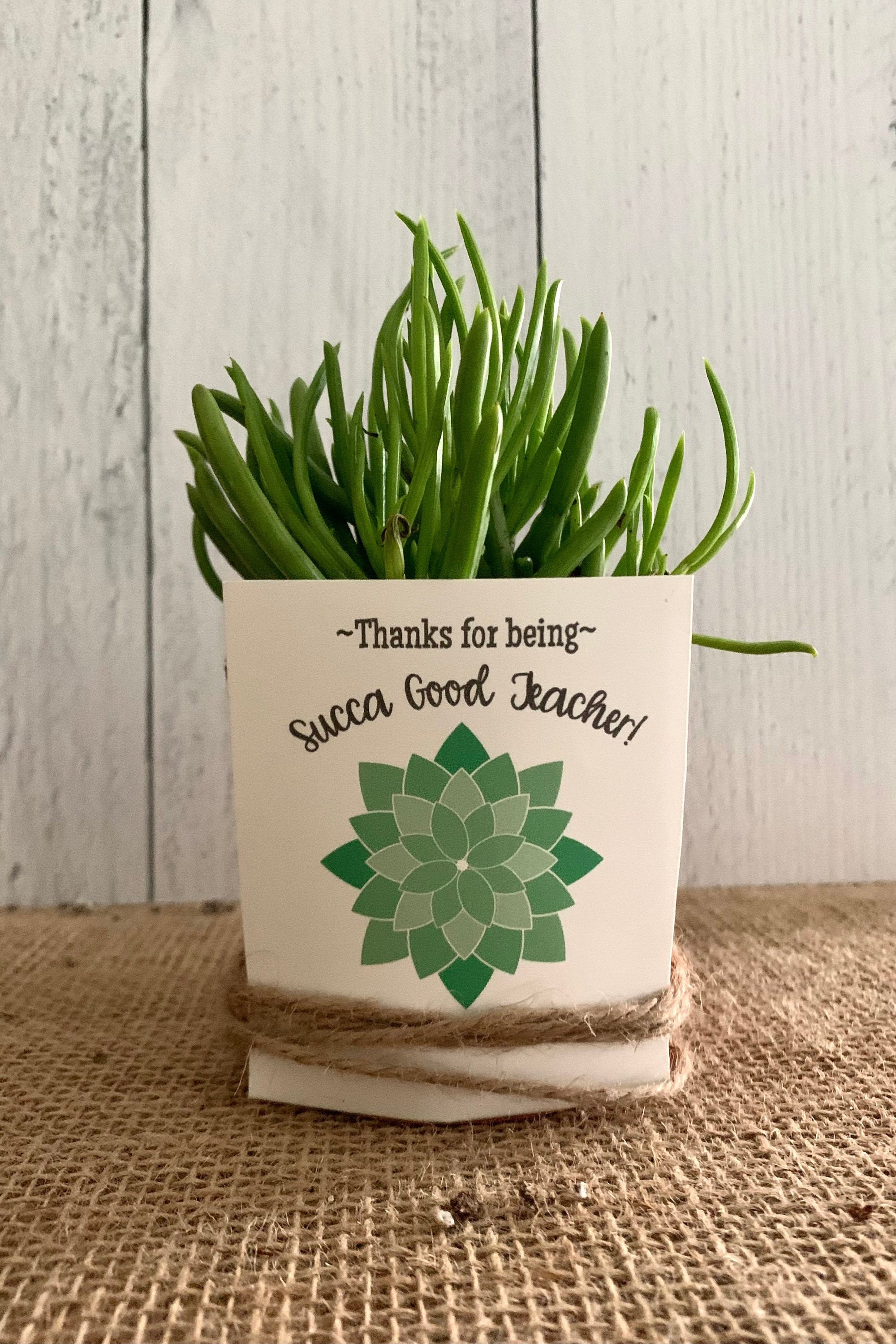 Succulent Gift Tag Printable, Teacher Nurse Appreciation (PDF) - Etsy Israel