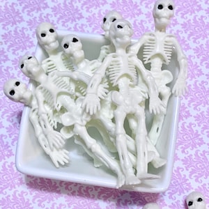 Mini Skeltons, Small Skeletons, Set of 2