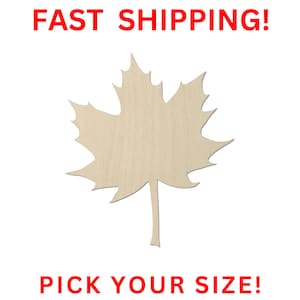 May include: A light-colored, flat wooden cutout in the shape of a maple leaf with a central stem. The text FAST SHIPPING! is printed in red at the top, and the text PICK YOUR SIZE! is printed in red at the bottom of the image.