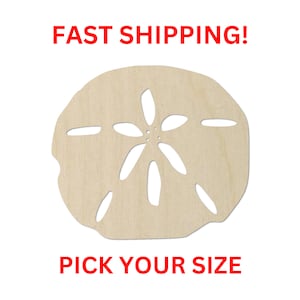 Unfinished Wooden Sand Dollar Shape 01 | Wood Shapes | Crafting Supplies | Laser Cut Cutout Shapes Marine Sea Life Beach Vacation Shell