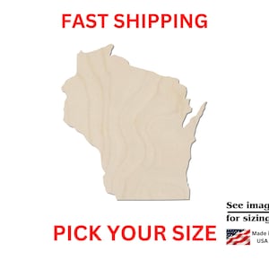 Unfinished Wooden Wisconsin State Shape | USA State Cutout | Crafting Supplies | Bulk States