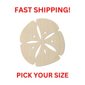 Unfinished Wooden Sand Dollar Shape 02 | Wood Shapes | Crafting Supplies | Laser Cut Cutout Shapes Marine Sea Life Beach Vacation Shell