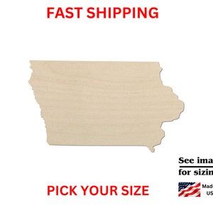 Unfinished Wooden Iowa State Shape | USA State Cutout | Crafting Supplies | Bulk States