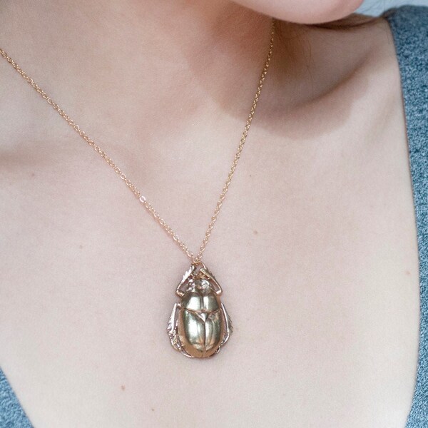 Insect Jewelry - Etsy
