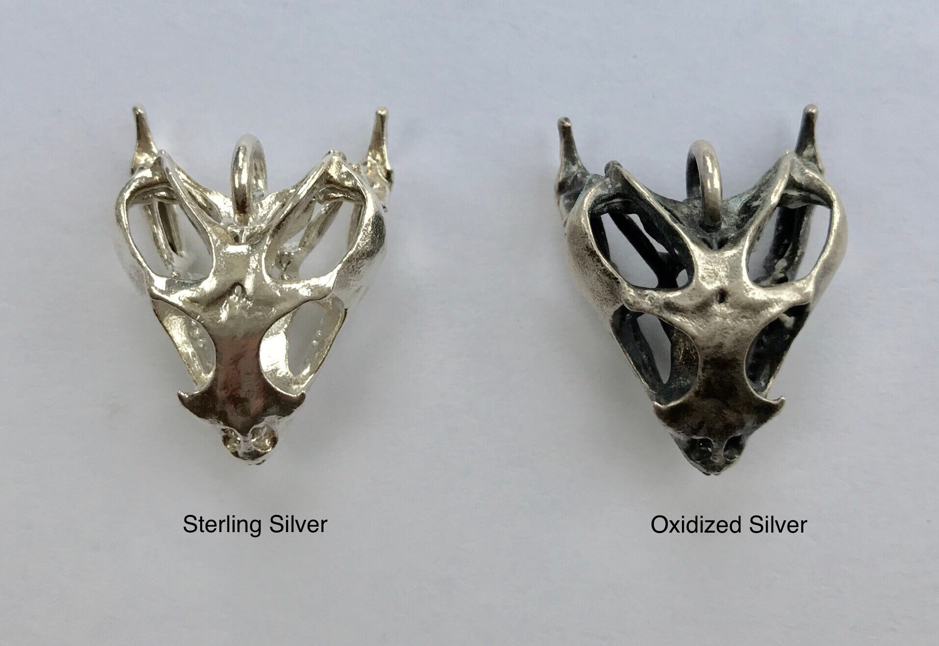 Bearded Dragon Lizard Skull Necklace Science Jewelry 3D Etsy