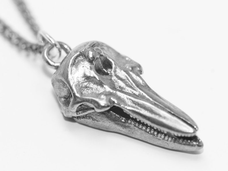 Marine Biology Gift Dolphin Skull Necklace Science Jewelry Etsy