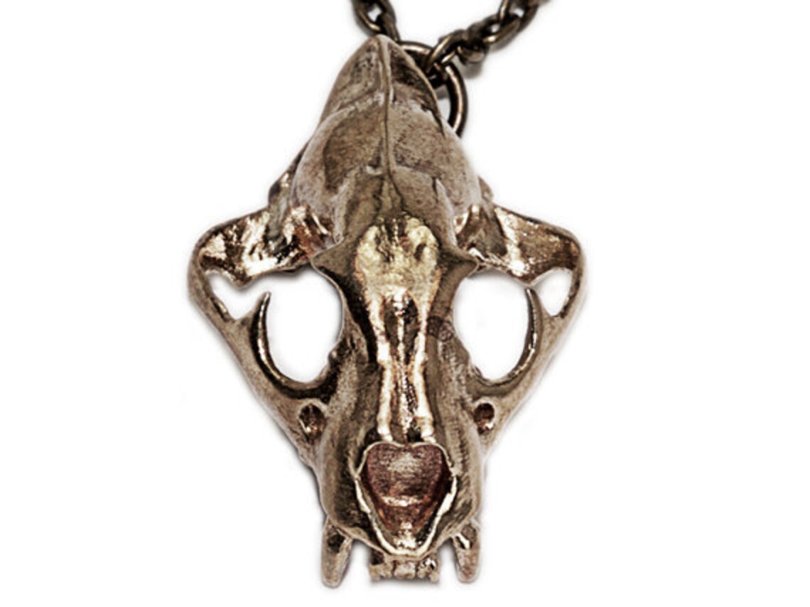 Cougar Necklace Cougar Skull Pendant Science Jewelry Animal Etsy