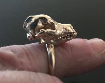 Dog Skull Ring - Animal Skull Ring - Bronze Brass Silver Jewelry