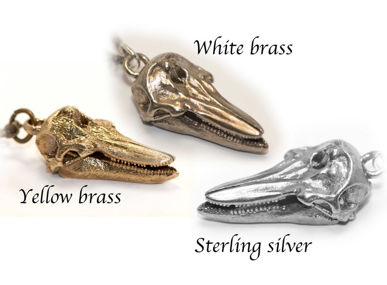 Marine Biology Gift Dolphin Skull Necklace Science Jewelry Etsy