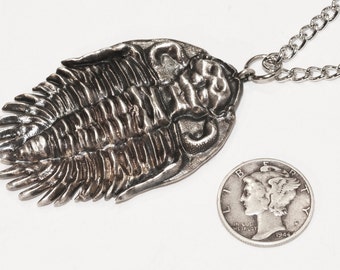 Trilobite Pendant - Paleontology Necklace - Fossil Trilobite Jewelry