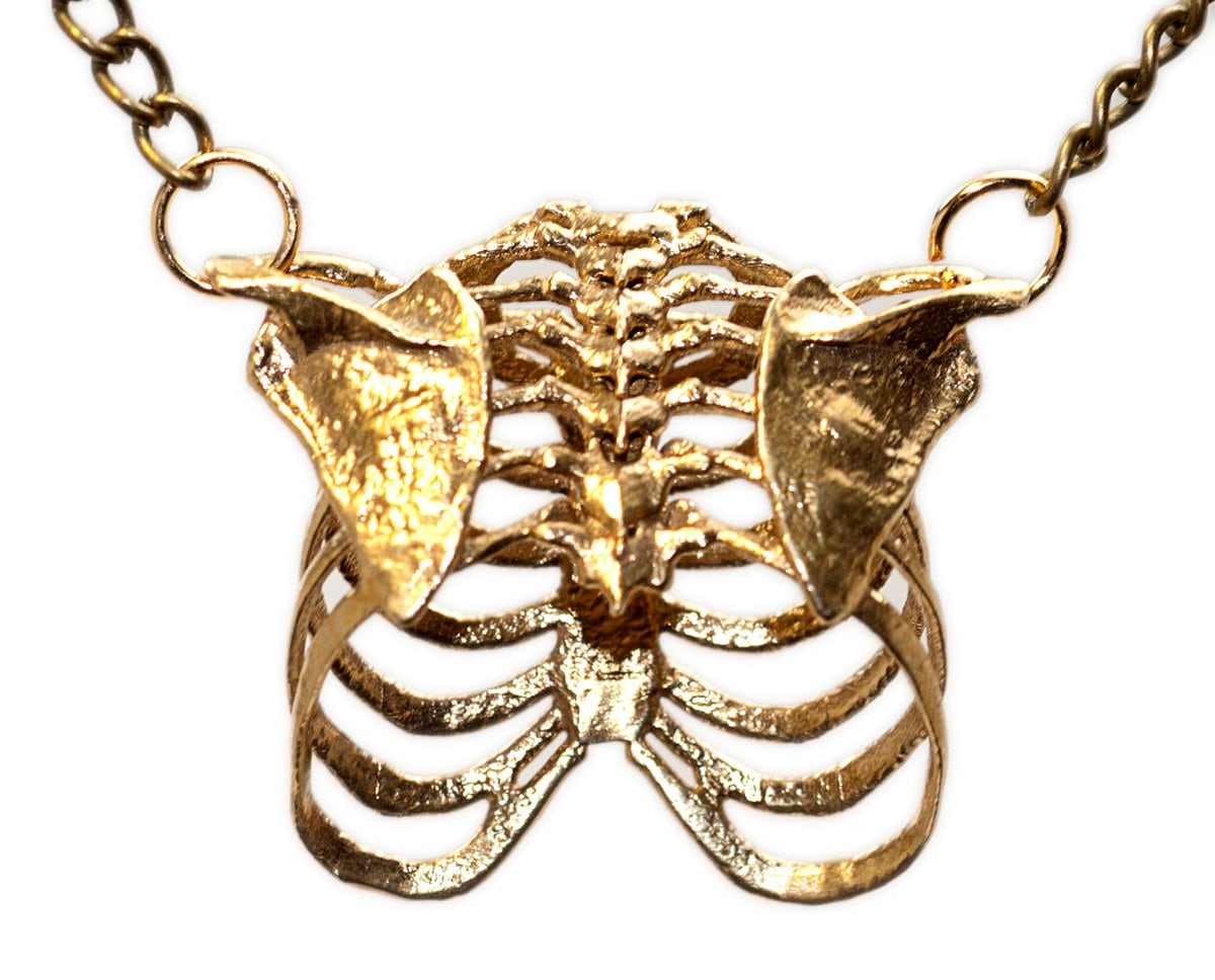 Necklace - Bone, Ribs main image 0